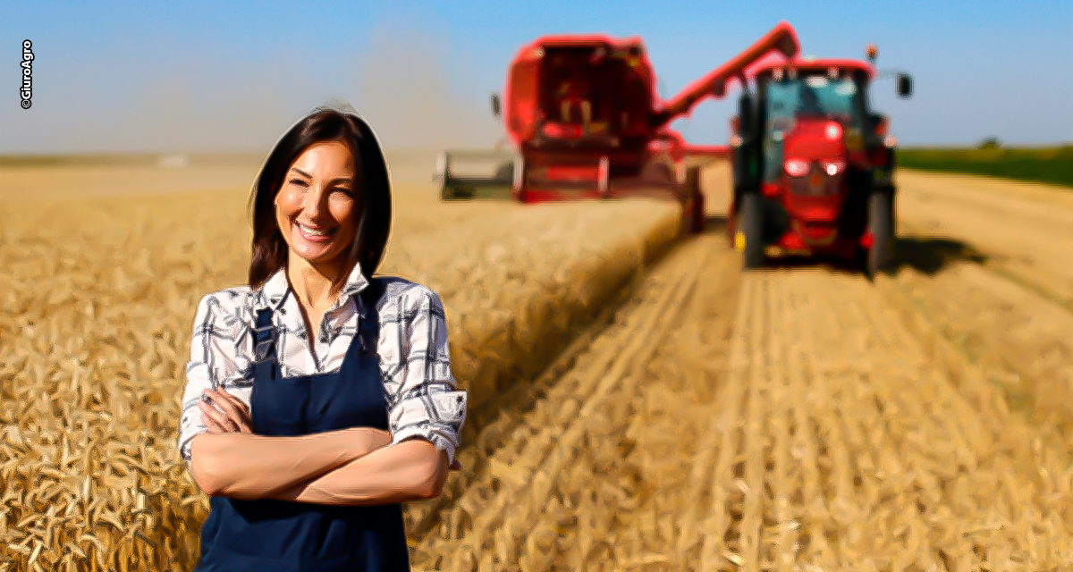 Agronegócio brasileiro avança na geração de empregos e qualificação profissional