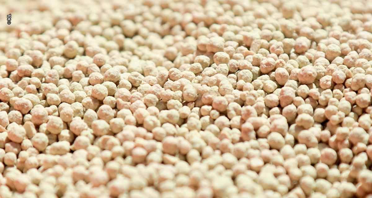 Noroeste paulista é a primeira região a receber fertilizante inédito