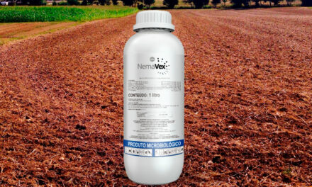 Combate aos nematoides ganha nova biotecnologia