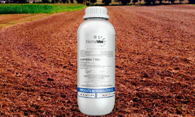 Combate aos nematoides ganha nova biotecnologia