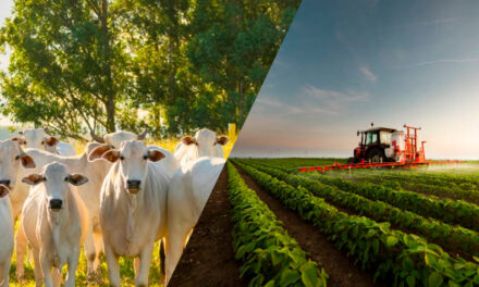Desafios do agro reforçam importância da proteção por meio dos seguros