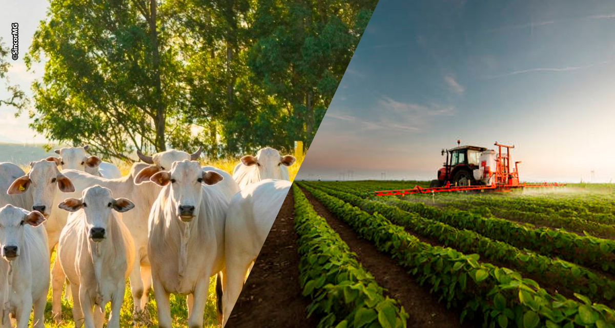 Desafios do agro reforçam importância da proteção por meio dos seguros