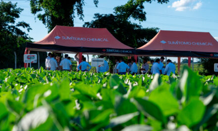 Sumitomo Biorational Company é criada nos EUA e vai acelerar inovações sustentáveis no agro do Brasil e da América Latina
