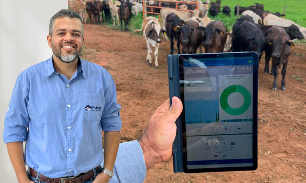 Uso de tecnologia organiza a rotina e aumenta o lucro de fazendas