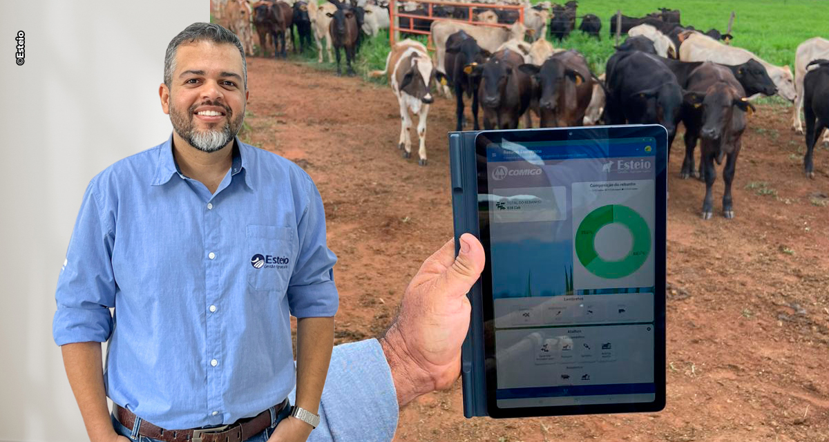 Uso de tecnologia organiza a rotina e aumenta o lucro de fazendas