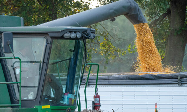 Fórum Getap apresenta os campeões de produtividade no milho inverno de 2025