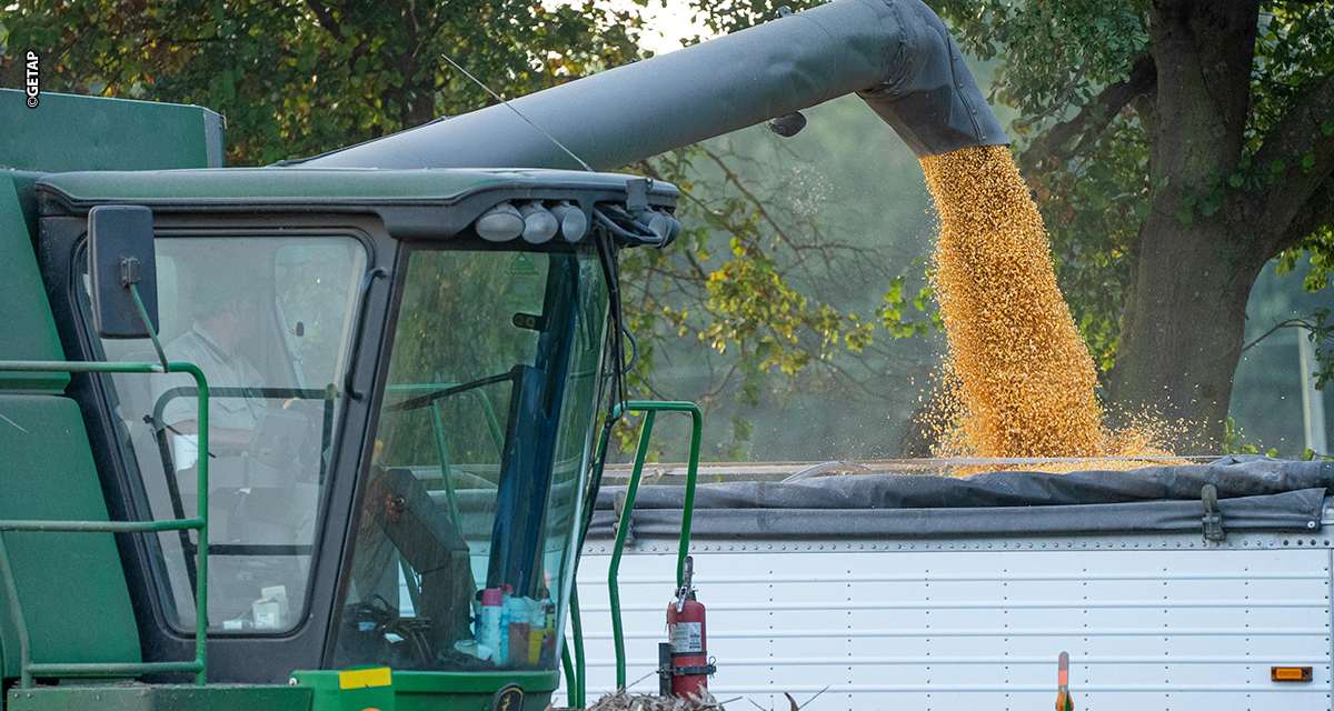 Fórum Getap apresenta os campeões de produtividade no milho inverno de 2025