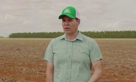 Com 268,4 sc/ha, agricultor de Mato Grosso é o grande destaque nacional na colheita de milho