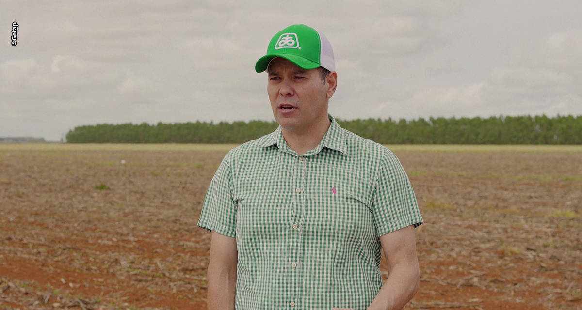 Com 268,4 sc/ha, agricultor de Mato Grosso é o grande destaque nacional na colheita de milho