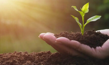 Solo em transformação impulsiona nova geração de fertilizantes no agronegócio