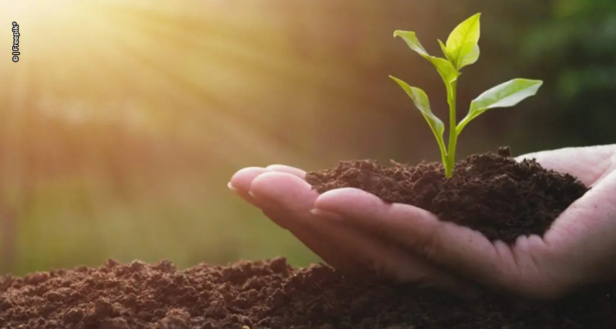 Solo em transformação impulsiona nova geração de fertilizantes no agronegócio