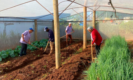 Universidade Brasil reforça responsabilidade social por meio do Projeto Ceres