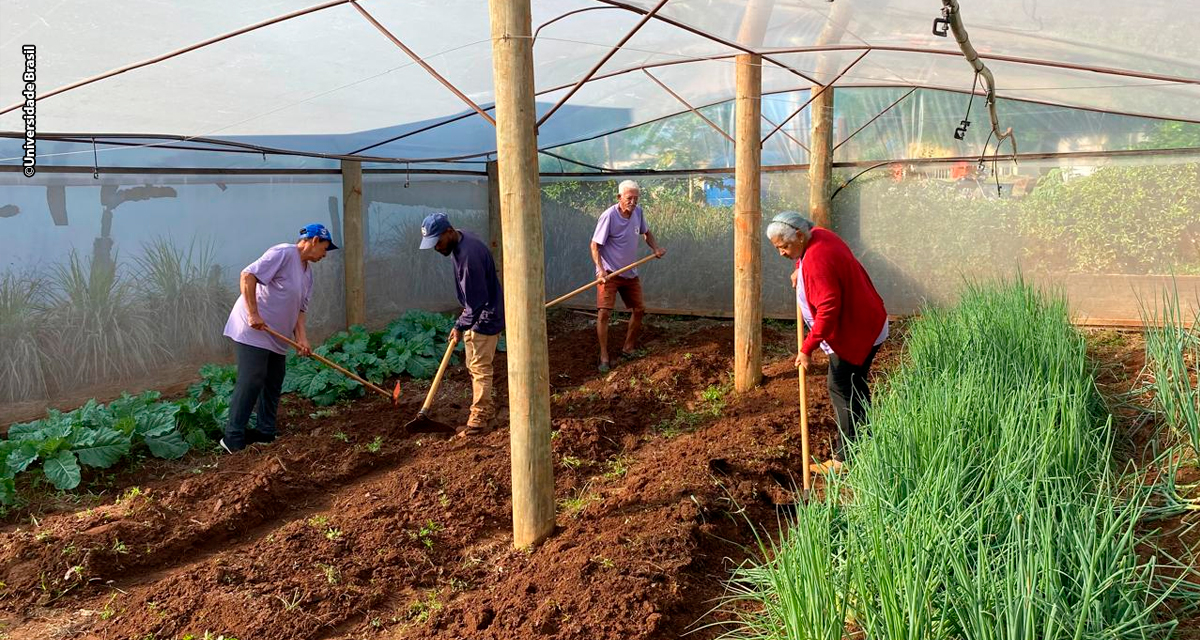 Universidade Brasil reforça responsabilidade social por meio do Projeto Ceres