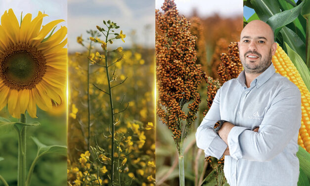 Com genética própria, Advanta Seeds investe em novos cultivos para avançar no Brasil