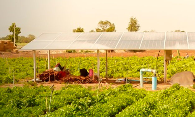 Aliança Solar Internacional (ISA) compartilha perspectivas sobre o futuro da energia solar e anuncia vencedores do SolarX Startup Challenge América Latina & Caribe na COP30