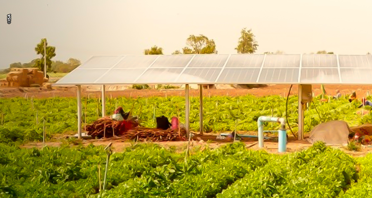 Aliança Solar Internacional (ISA) compartilha perspectivas sobre o futuro da energia solar e anuncia vencedores do SolarX Startup Challenge América Latina & Caribe na COP30
