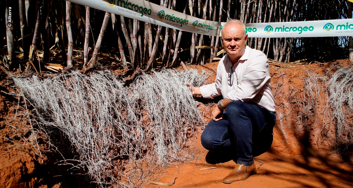 Produtor rompe barreira das 160 t/ha em cana-planta com manejo microbiológico de solo