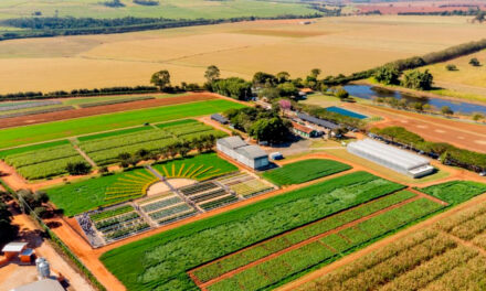 Biotrop absorve divisão BioWorks, do grupo BioFirst, e anuncia nova sede administrativa