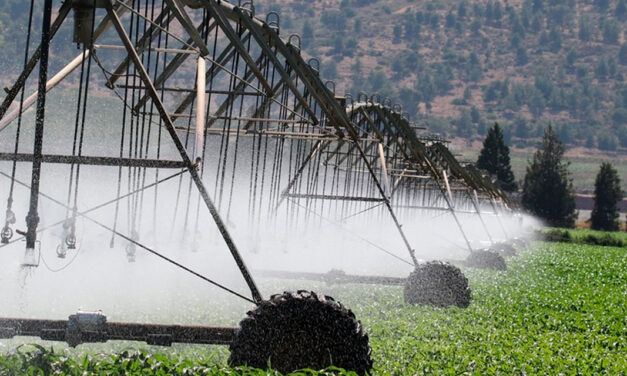 Inversores de frequência trazem automação e eficiência para irrigação e sistemas agrícolas