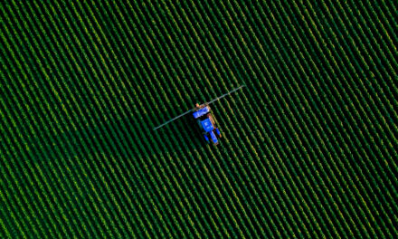 Aplicação de IA, manutenção do maquinário e demanda por sustentabilidade: as expectativas para o cenário agrícola de 2026