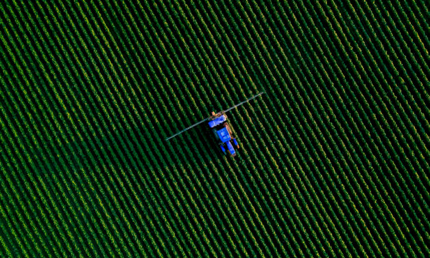 Aplicação de IA, manutenção do maquinário e demanda por sustentabilidade: as expectativas para o cenário agrícola de 2026
