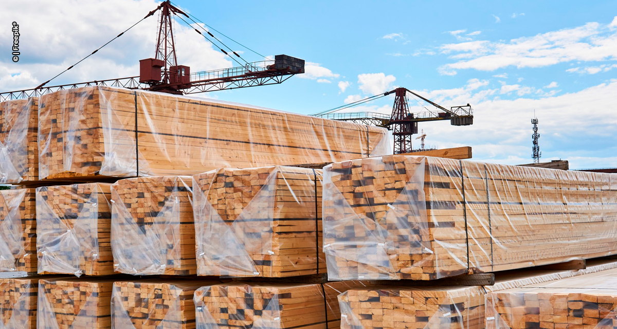 Exportações de madeira acumulam queda de 3% em 2025