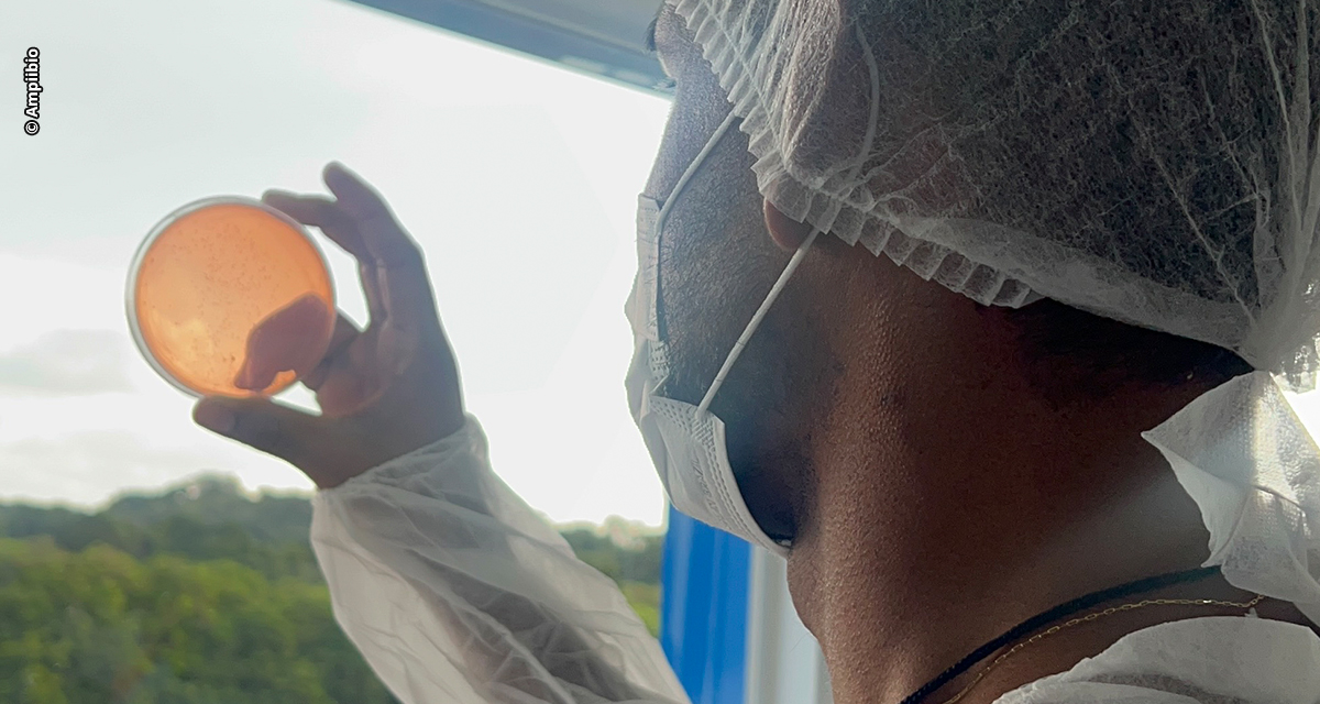 Indústria de bioinsumos amplia ações de controle de qualidade para sustentar crescimento do setor e promover maior eficiência no campo