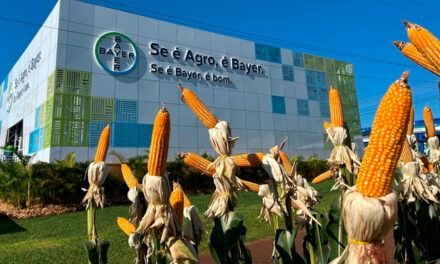 Com novas soluções de proteção de cultivos, Bayer marca presença no Show Rural Coopavel 2026