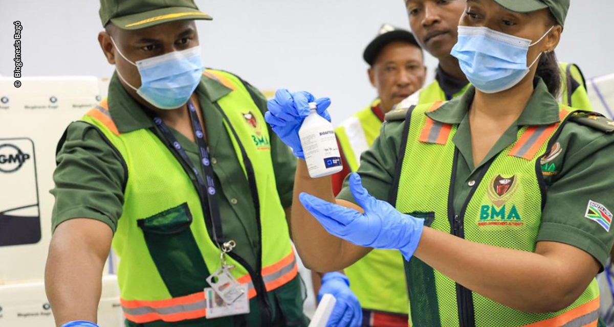 África do Sul recebe 1º lote de vacinas da Biogénesis Bagó para ajudar a conter emergência sanitária pelo surto de febre aftosa