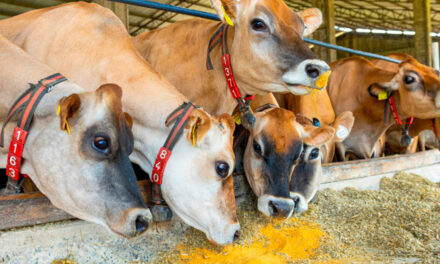 Inpasa lança FortiPro e eleva o padrão global da nutrição animal