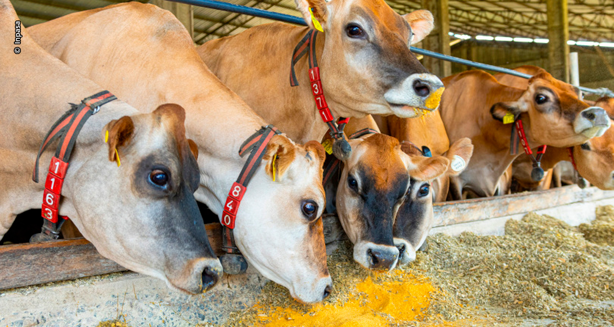 Inpasa lança FortiPro e eleva o padrão global da nutrição animal