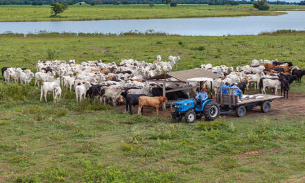 LS Tractor faz pré-lançamentos e reforça soluções de acesso à mecanização no campo