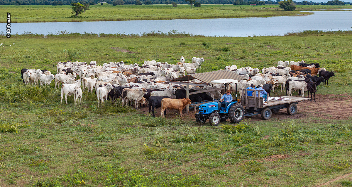 LS Tractor faz pré-lançamentos e reforça soluções de acesso à mecanização no campo