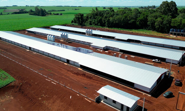 MBRF e Governo do Paraná anunciam investimento de R$ 375 milhões para fortalecer produção de alimentos no estado