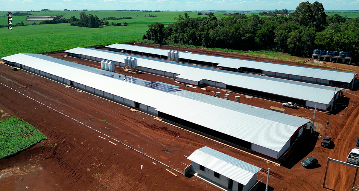 MBRF e Governo do Paraná anunciam investimento de R$ 375 milhões para fortalecer produção de alimentos no estado