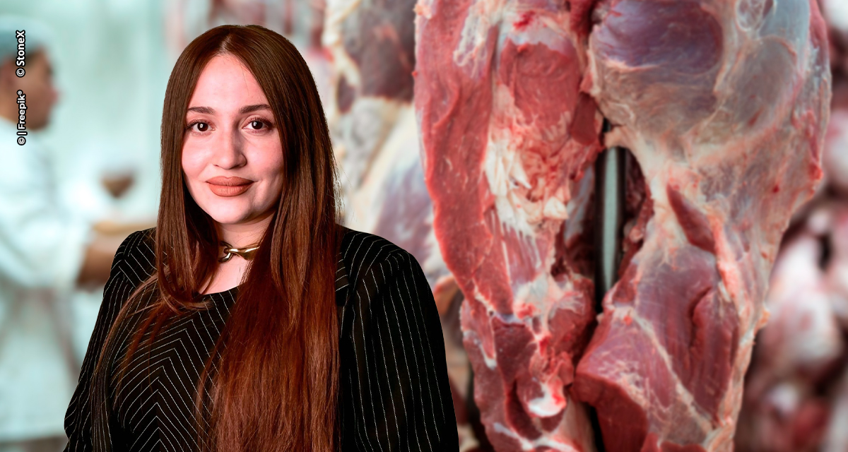 Brasil entra em 2026 como pilar do mercado global de carne bovina em meio a sinais de virada do ciclo pecuário