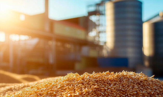 Déficit de armazenagem no agronegócio preocupa especialistas e investidores