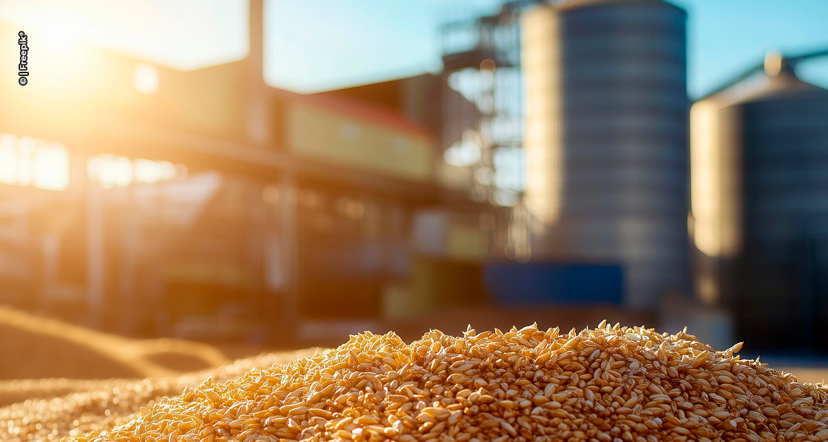 Déficit de armazenagem no agronegócio preocupa especialistas e investidores
