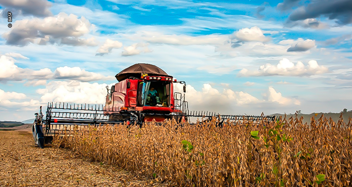 BASF impulsiona o agro gaúcho com soluções integradas e inovação para apoiar o setor