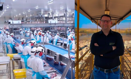 Better Group é o primeiro grupo frigorífico do Brasil a receber a certificação 2030 TODAY, alinhada aos ODS (ONU)