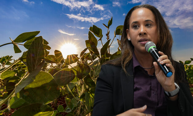 Soja regenerativa reposiciona produção brasileira no debate climático global