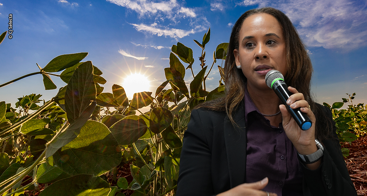 Soja regenerativa reposiciona produção brasileira no debate climático global