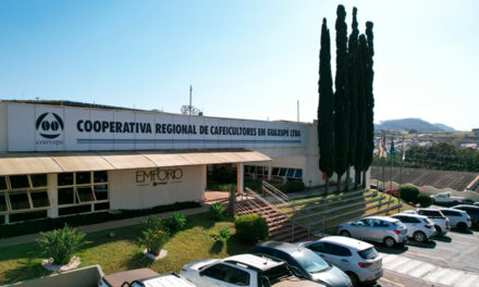 Cooxupé registra resultados recordes e amplia distribuição de sobras aos cooperados