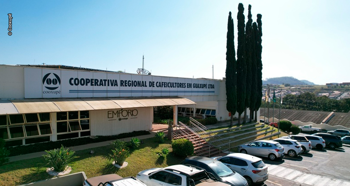 Cooxupé registra resultados recordes e amplia distribuição de sobras aos cooperados
