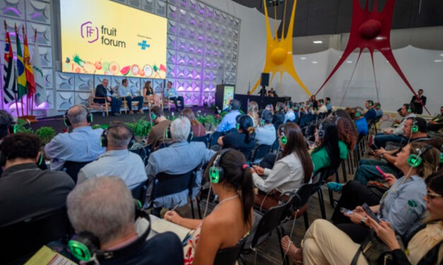Fruit Attraction São Paulo: descomoditizar a produção amplia potencial de exportação da fruticultura, destacam CNA, Apex e Cepea