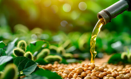 Discussões sobre biodiesel e SAF sustentam mercado de soja mesmo com oferta elevada