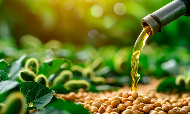 Discussões sobre biodiesel e SAF sustentam mercado de soja mesmo com oferta elevada