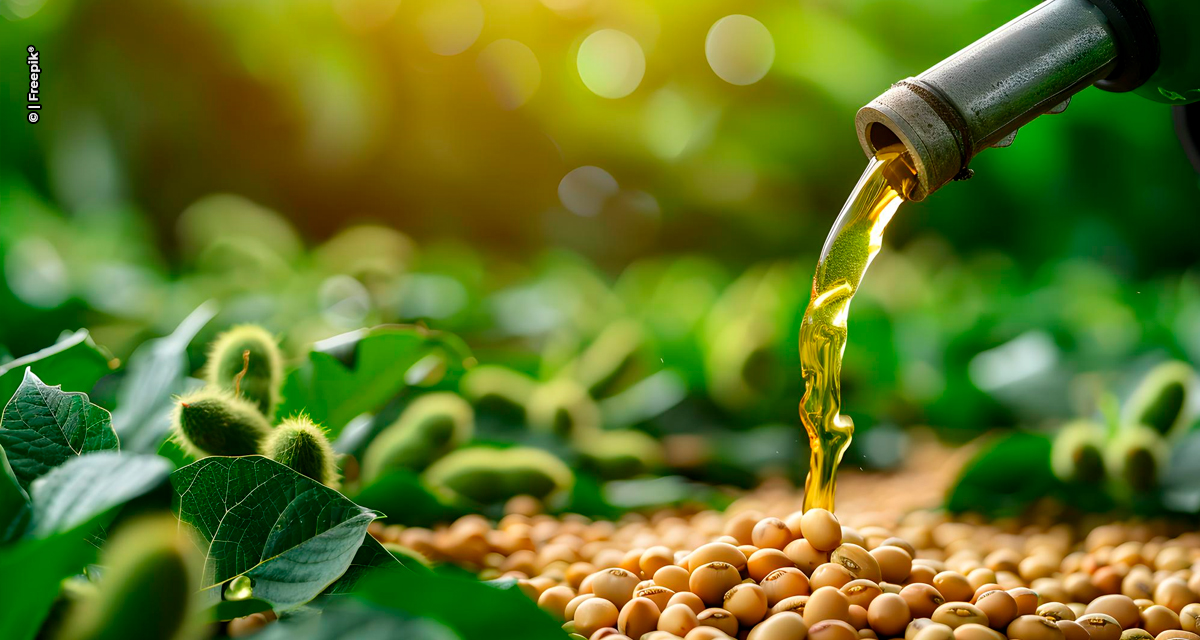 Discussões sobre biodiesel e SAF sustentam mercado de soja mesmo com oferta elevada