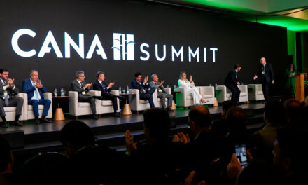 Transformações na produção e no mercado ampliam perspectivas para a cana no Brasil