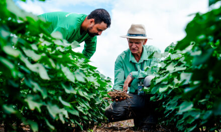 SLC Agrícola amplia em 79% área certificada em agricultura regenerativa